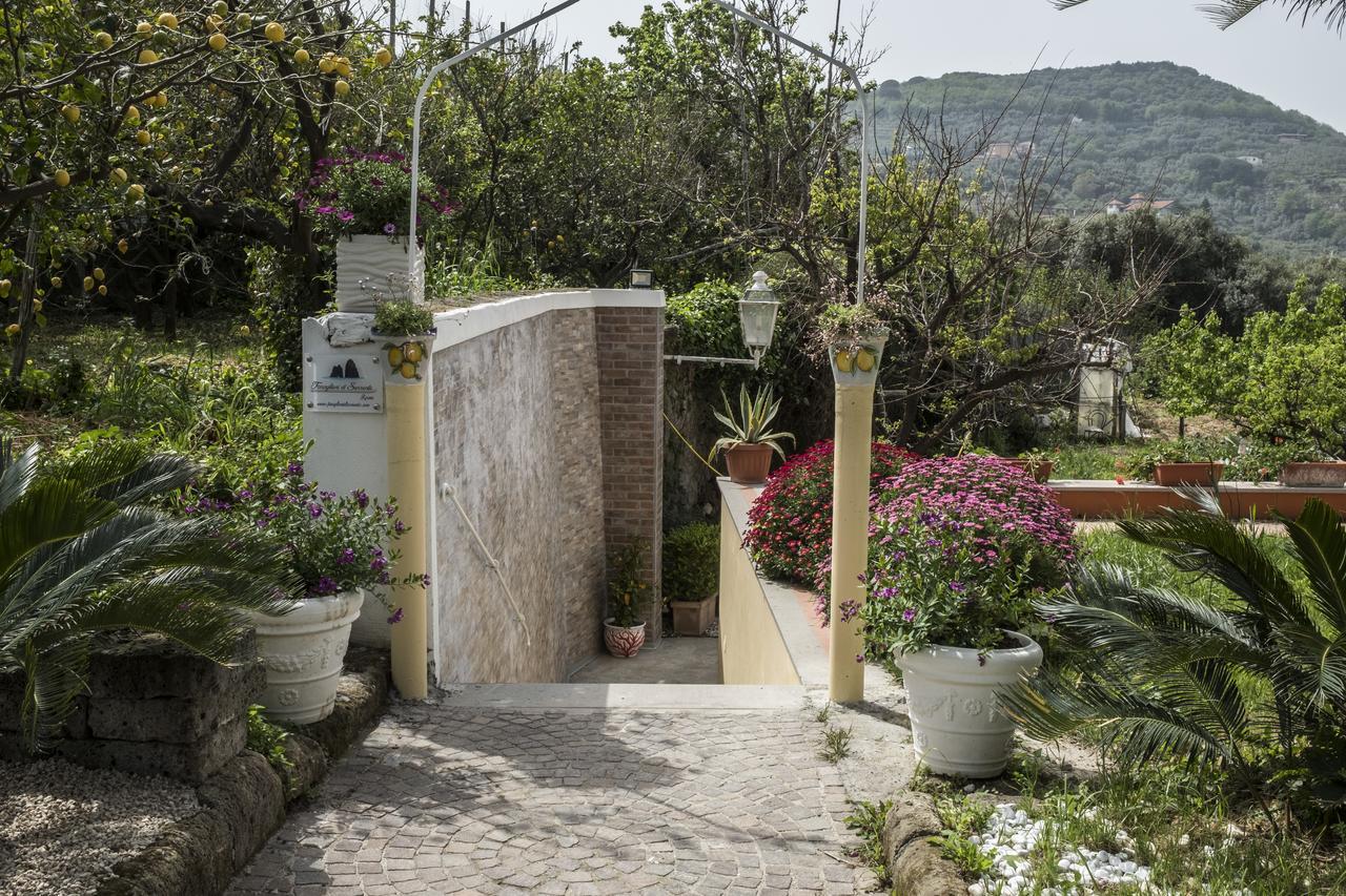 Faraglioni Di Sorrento Guesthouse Exterior foto